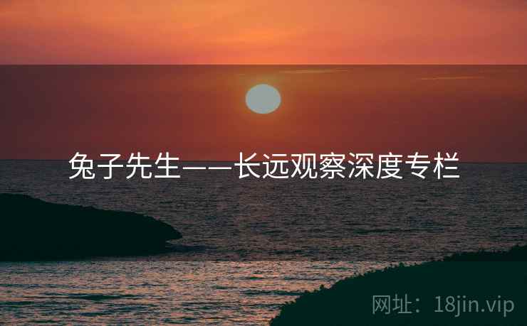 兔子先生——长远观察深度专栏  第1张 兔子先生——长远观察深度专栏  第1张