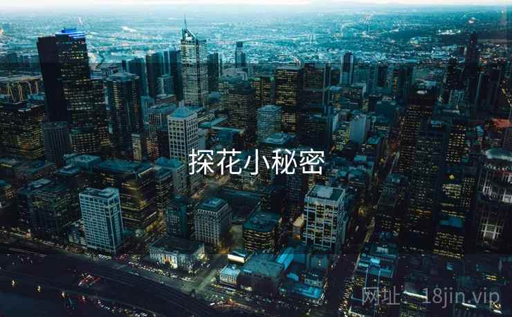探花小秘密  第2张 探花小秘密  第2张