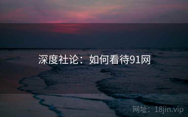 深度社论:如何看待91网  第2张 深度社论:如何看待91网  第2张