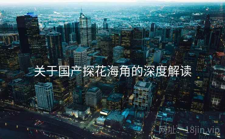 关于国产探花海角的深度解读  第2张 关于国产探花海角的深度解读  第2张