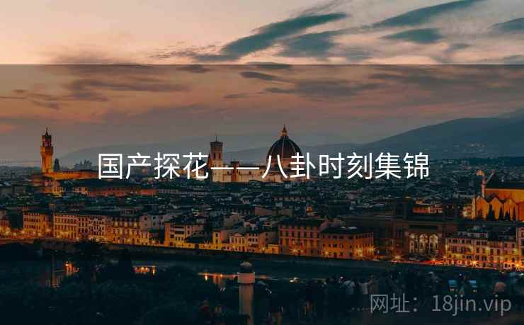 国产探花——八卦时刻集锦  第2张 国产探花——八卦时刻集锦  第2张