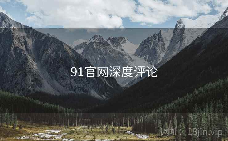 91官网深度评论  第2张 91官网深度评论  第2张