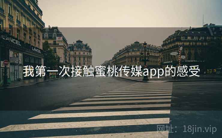 我第一次接触蜜桃传媒app的感受  第1张