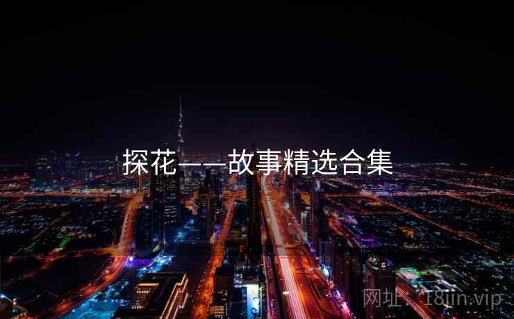探花——故事精选合集  第1张 探花——故事精选合集  第1张