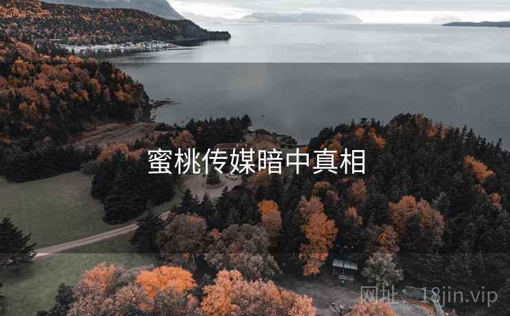 蜜桃传媒暗中真相  第1张