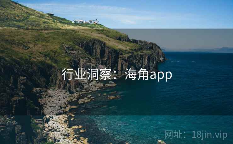 行业洞察:海角app  第2张 行业洞察:海角app  第2张