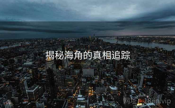 揭秘海角的真相追踪  第2张