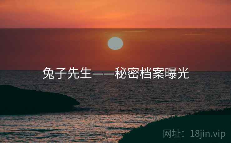 兔子先生——秘密档案曝光  第2张