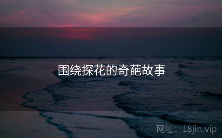 围绕探花的奇葩故事  第4张 围绕探花的奇葩故事  第4张