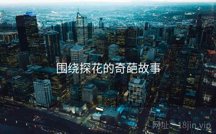围绕探花的奇葩故事  第2张 围绕探花的奇葩故事  第2张