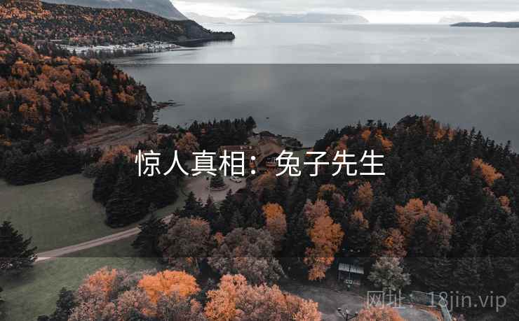 惊人真相：兔子先生  第2张
