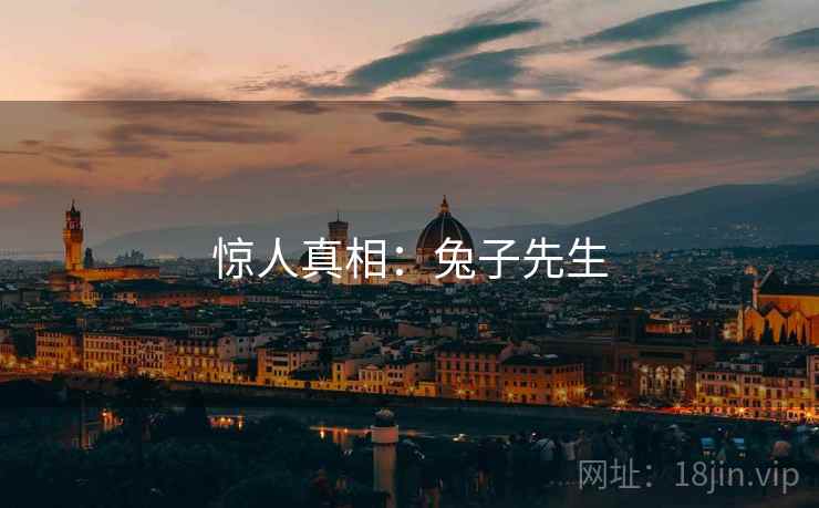 惊人真相：兔子先生  第1张