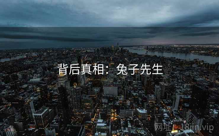 背后真相：兔子先生  第1张