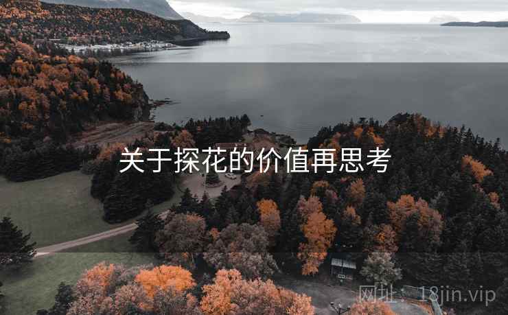 关于探花的价值再思考  第1张 关于探花的价值再思考  第1张