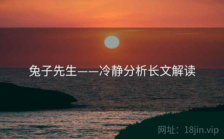 兔子先生——冷静分析长文解读  第1张 兔子先生——冷静分析长文解读  第1张