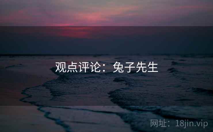 观点评论:兔子先生  第1张 观点评论:兔子先生  第1张