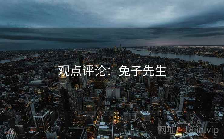 观点评论:兔子先生  第2张 观点评论:兔子先生  第2张